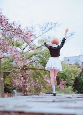 美少女特工队 电影_DVD免费全集观看